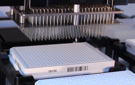384-pin tool transferring into a 384-well plate